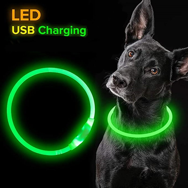 LED Pet Collar | Dog / Cat Glowing Light USB Charging