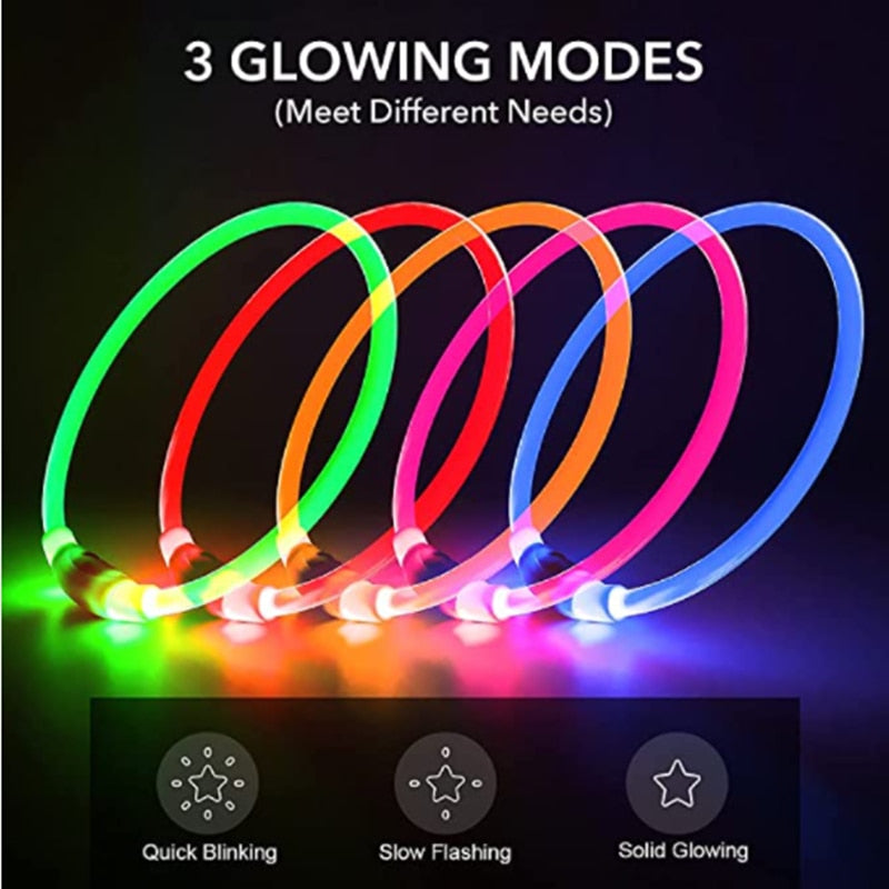 LED Pet Collar | Dog / Cat Glowing Light USB Charging