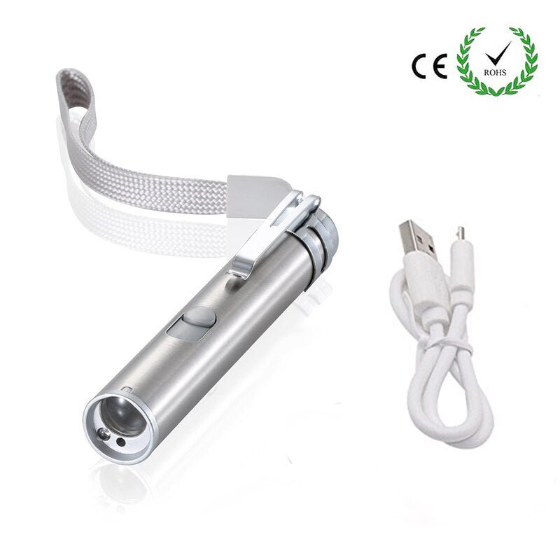 Mini UV LED Flashlight Pen Laser Light USB