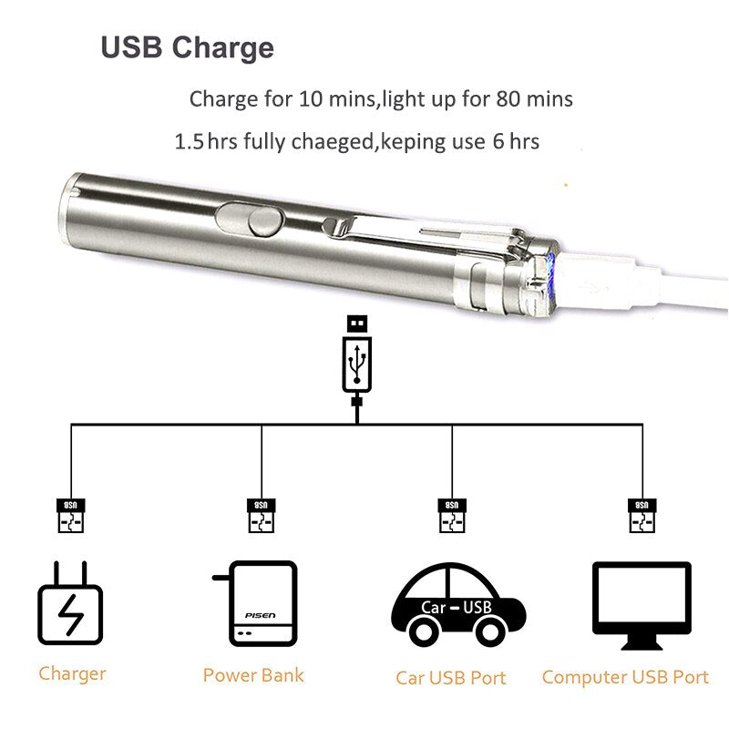 Mini UV LED Flashlight Pen Laser Light USB