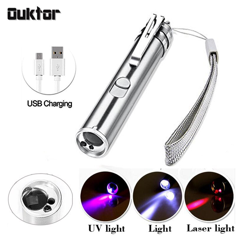 Mini UV LED Flashlight Pen Laser Light USB