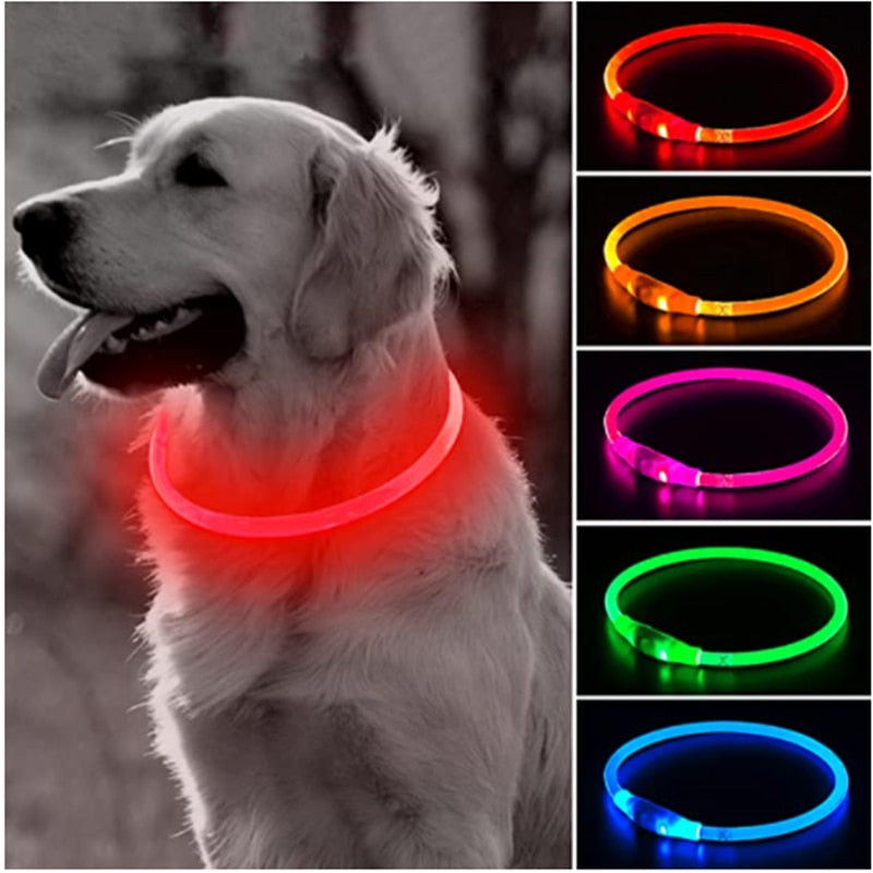 LED Pet Collar | Dog / Cat Glowing Light USB Charging